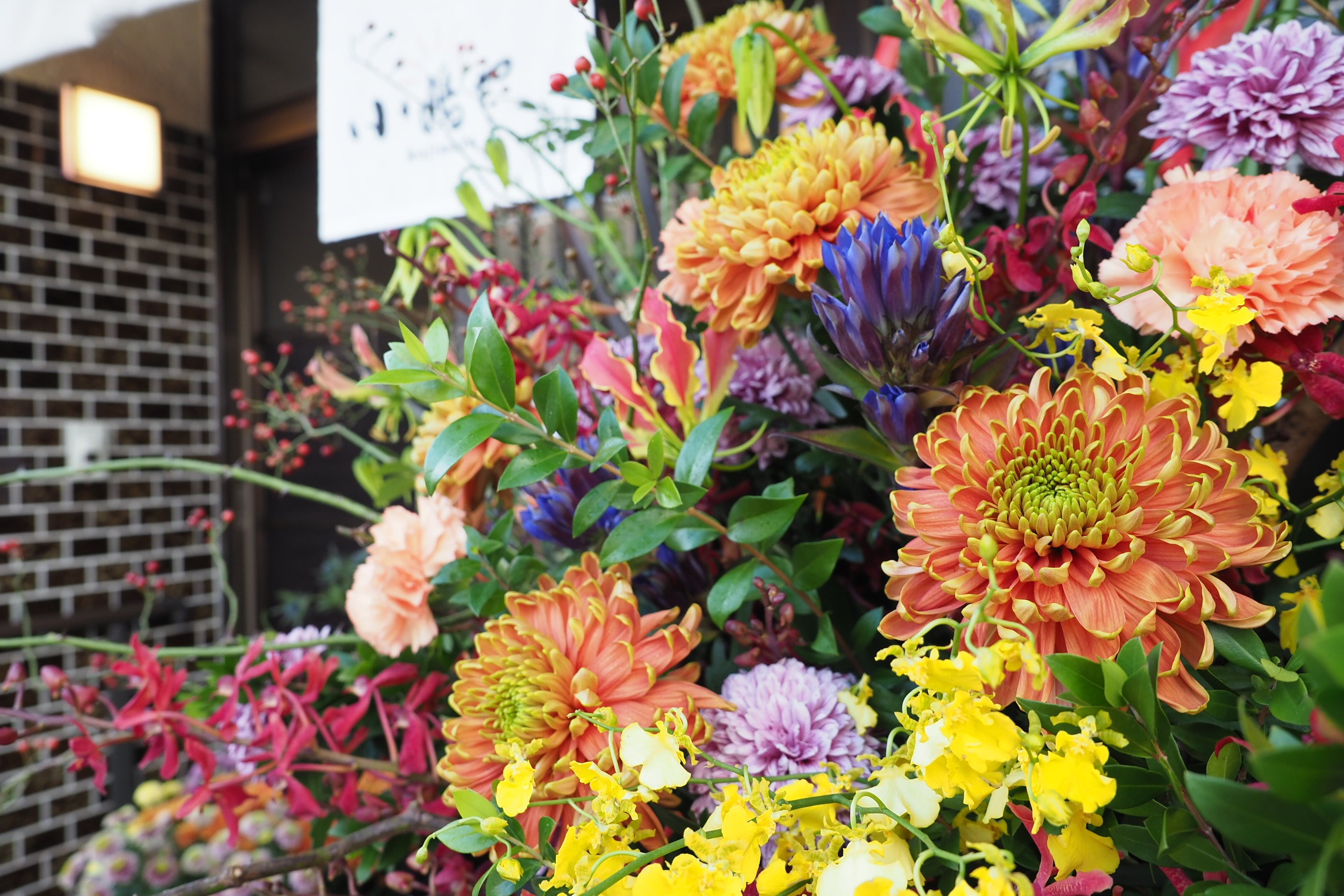 松本光氏の作品を多く見ることができる花と和菓子展を開催