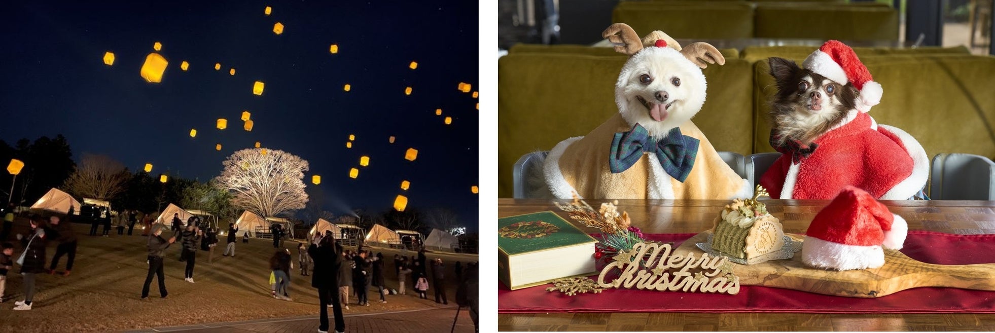 願いを灯すランタンが夜空を彩るクリスマス限定イベント「Mistletoe Lantern Night」12月13日(土)、20日(土)、24日(水)開催!