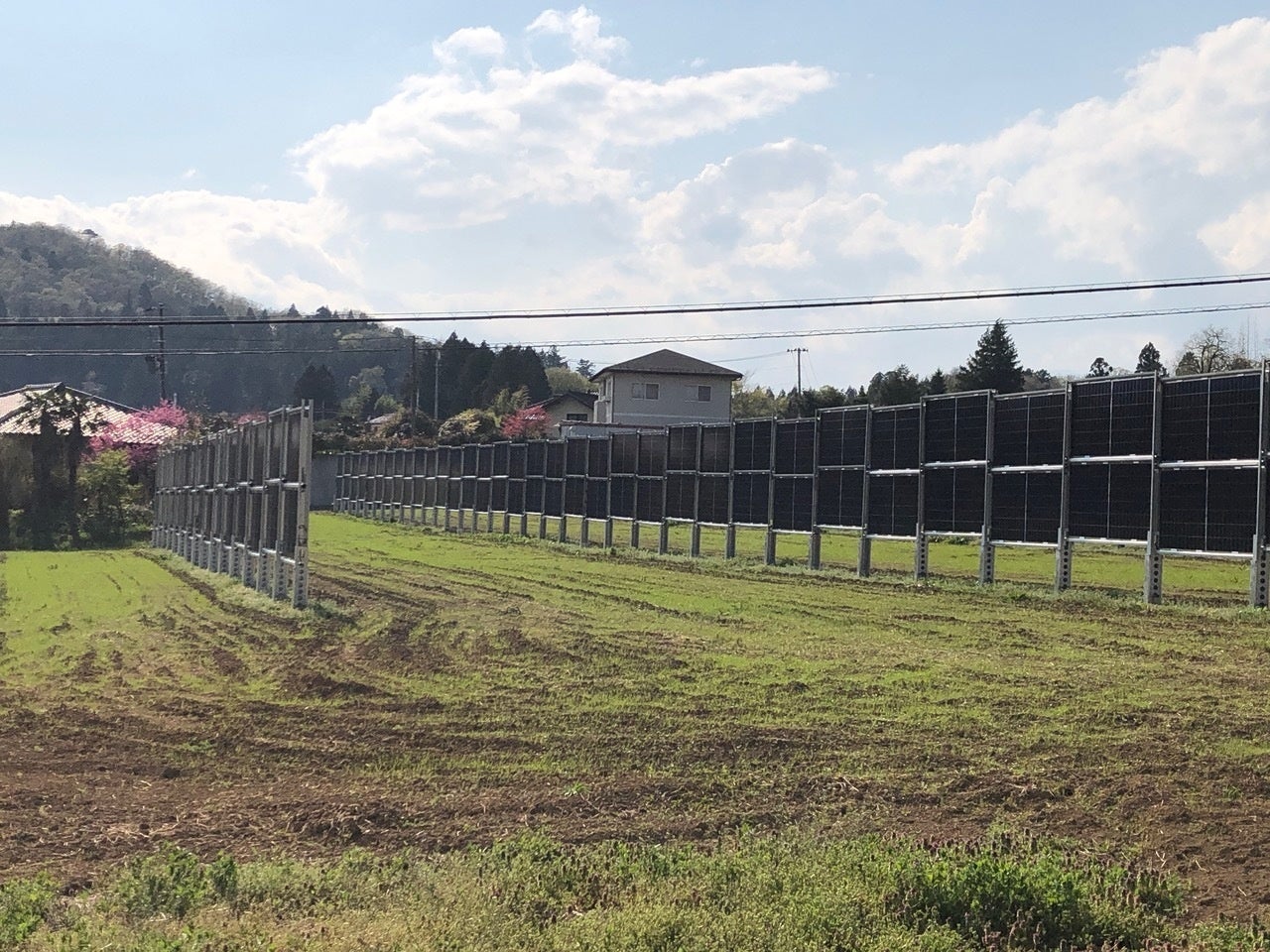 垂直営農ソーラー