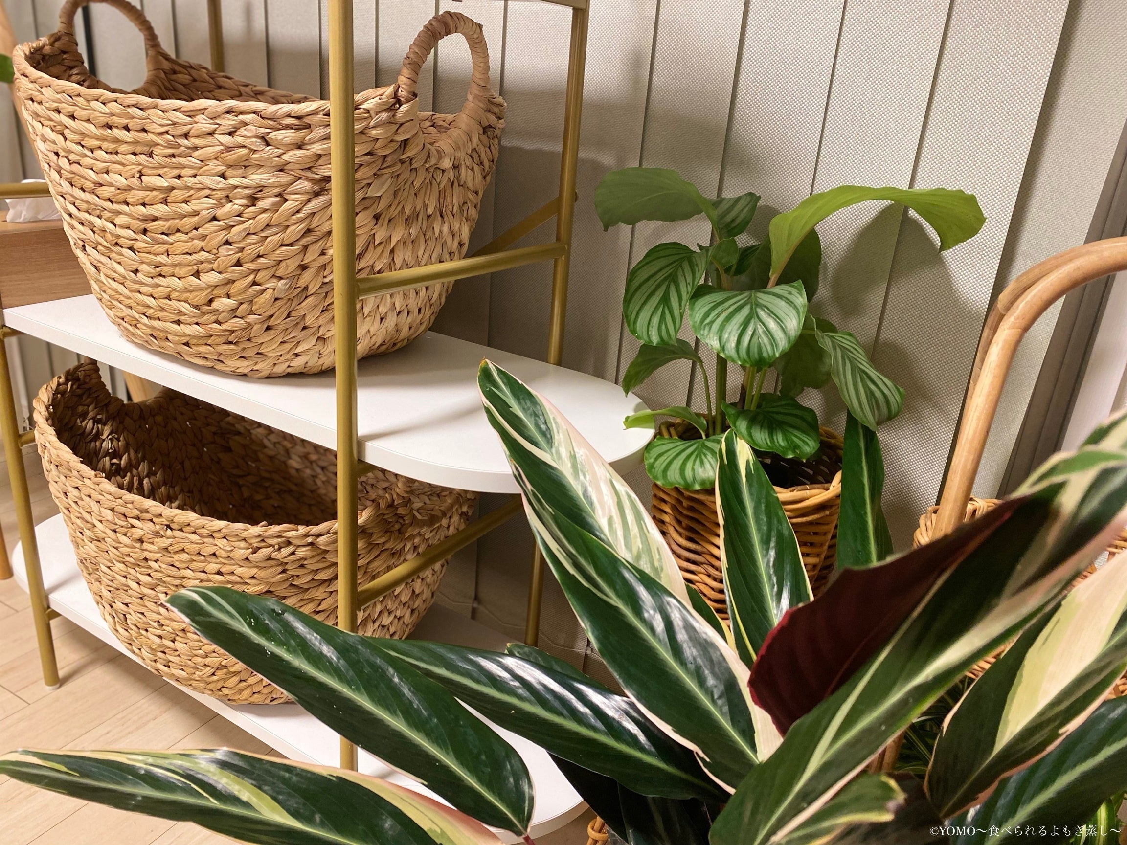 YOMO〜食べられるよもぎ蒸し〜太陽のお部屋