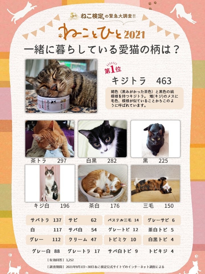 一番多い柄は？