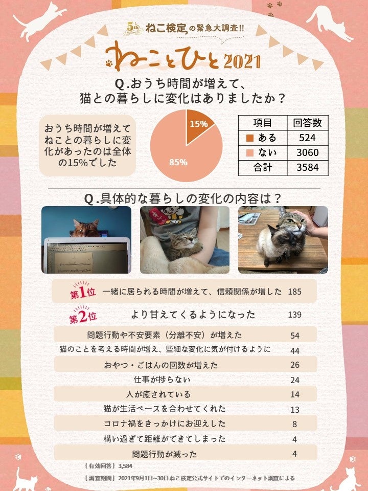おうち時間が増えて猫との暮らしに変化は？