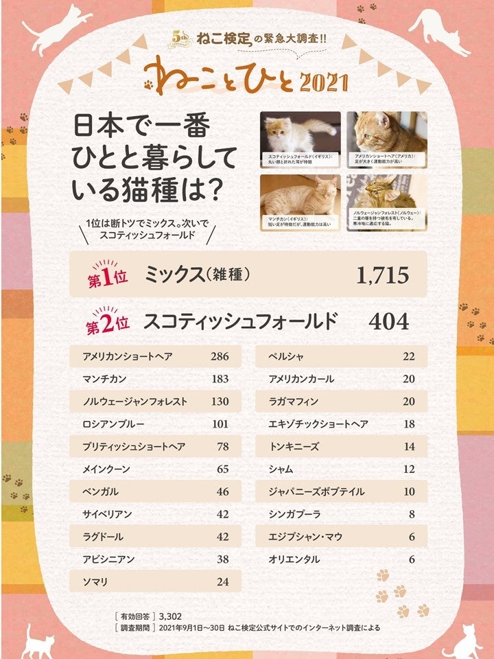一番多い猫種は？