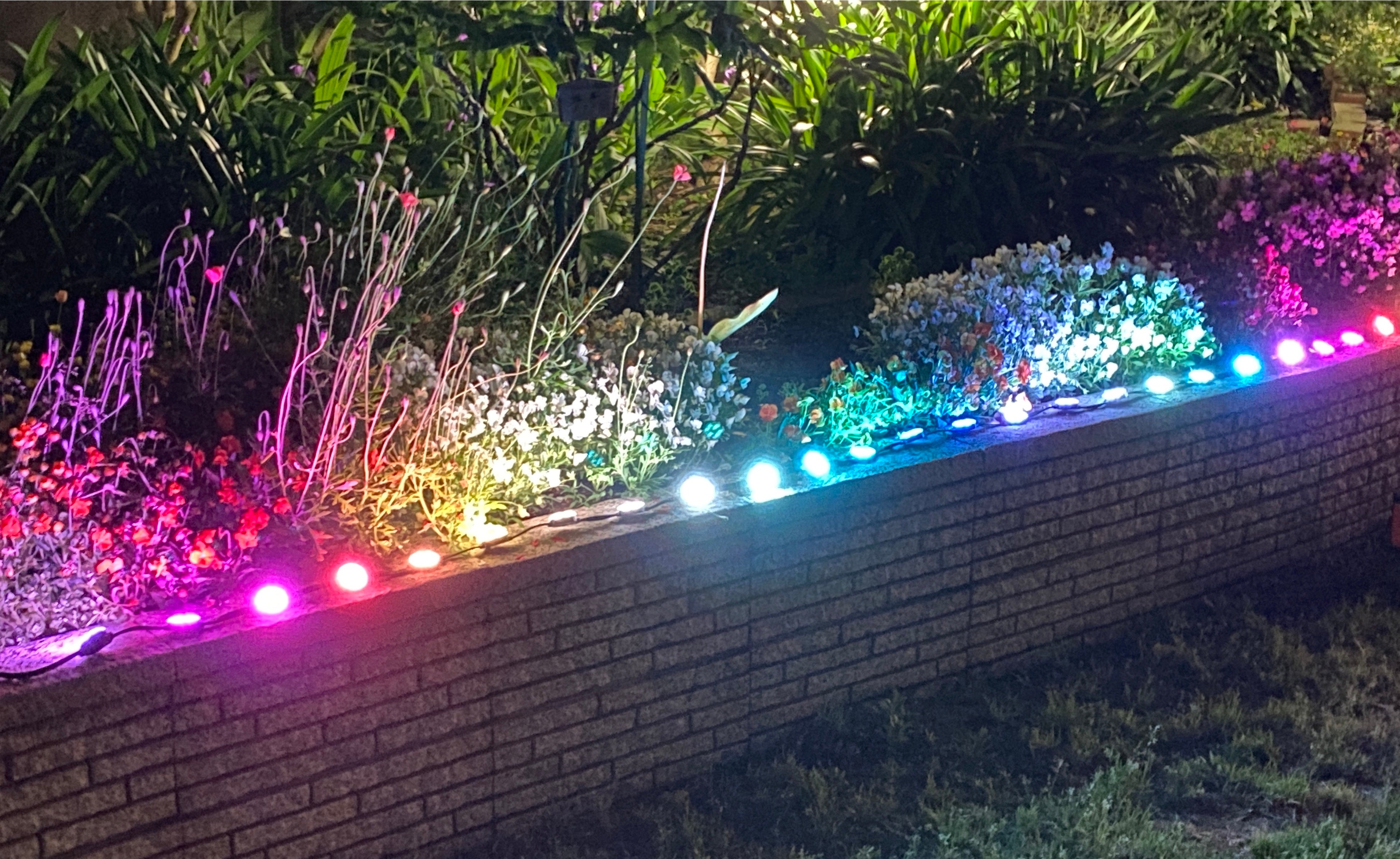 新製品【イルミネーション ドット LED・Venus-DOTシリーズ