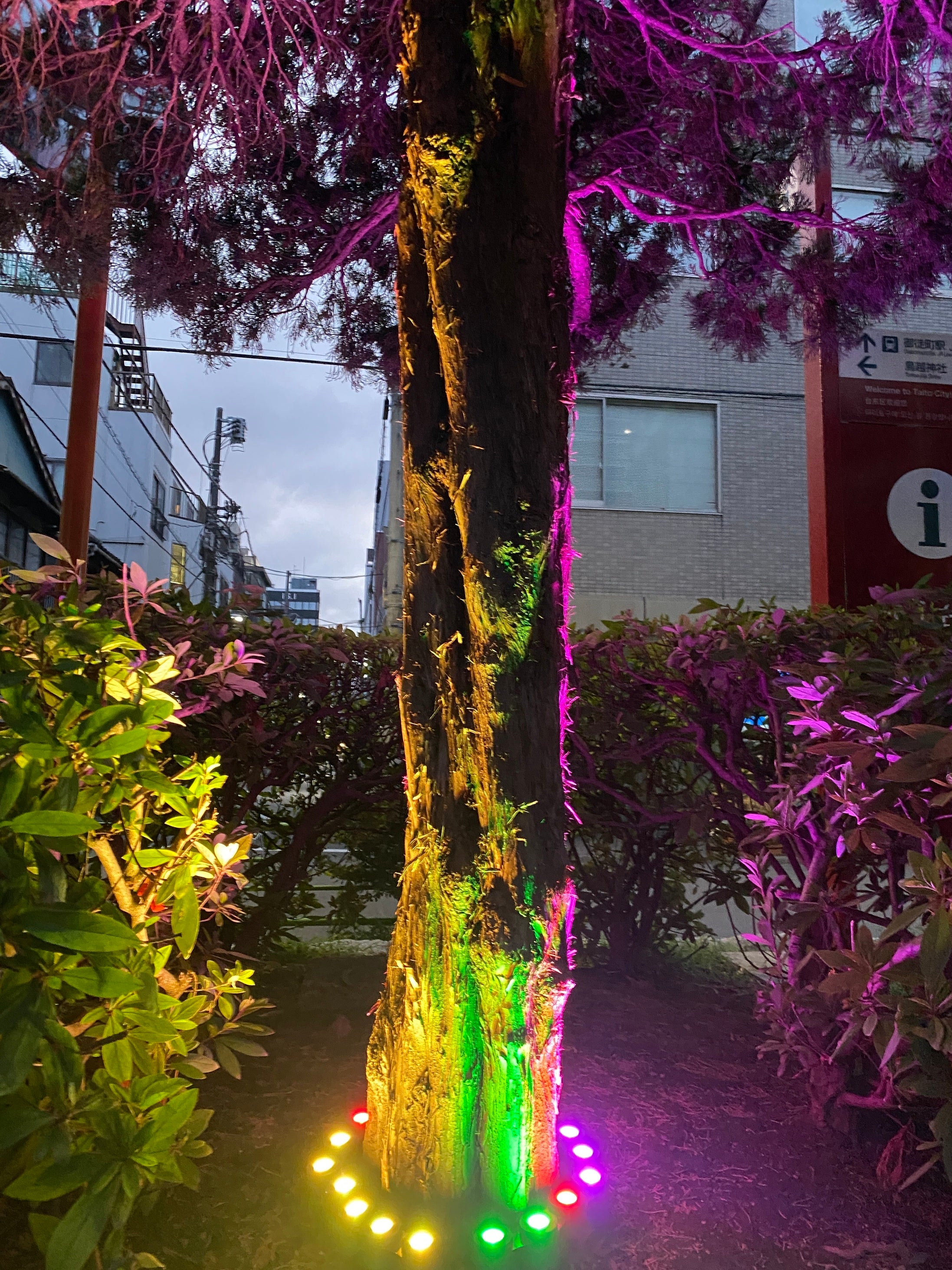 ❤多彩なイルミネーションパターン❣魅惑的な空間演出が無限大♪❤レーザーライト 最大150mまで到達する噴水と漆黒の闇を華麗に彩るレーザーの光