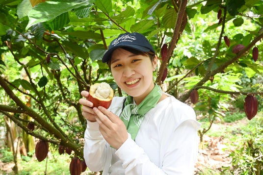 カカオの産地を訪ねる6日間。チョコレートブランド「dari K」がインドネシア・スラウェシ島カカオ農園ツアーを開催 カカオの産地を訪ねる6日間。チョコレートブランド「dari K」がインドネシア・スラウェシ島カカオ農園ツアーを開催