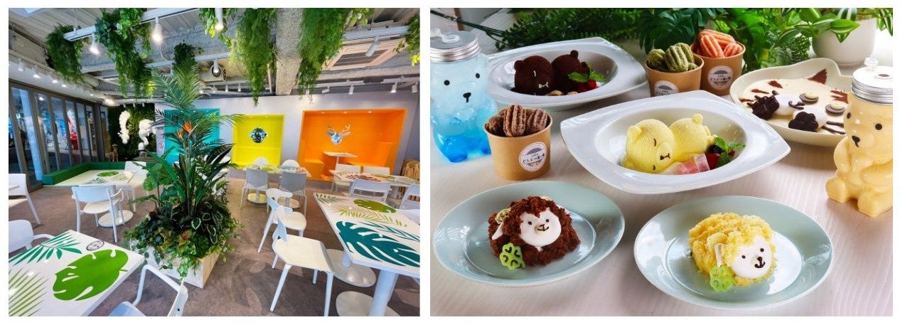 カフェ どうぶつ園の横 리뉴얼 오픈 대표 이미지