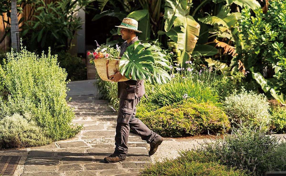 ドンナカルメラ＆ピアトラドルチェ（シチリアの植木会社がプロデュースするブティックホテル＆ワイナリーでのサステナブルW）