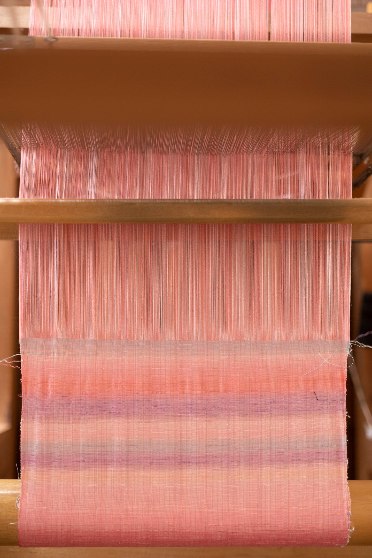 © Masatomo Moriyama