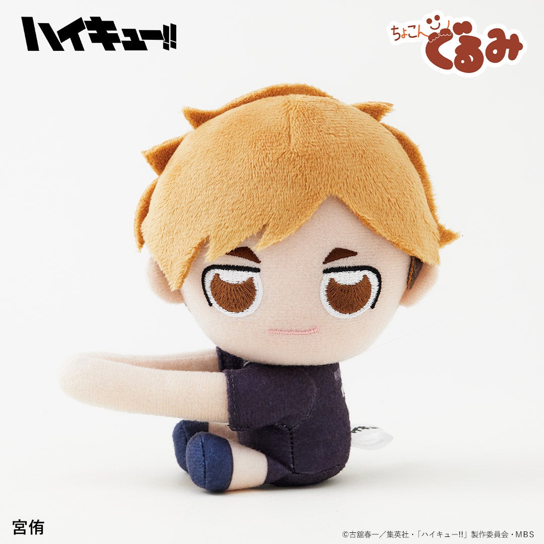 アニメ「ハイキュー!!」のメンバーがぬいぐるみに！？実用性も