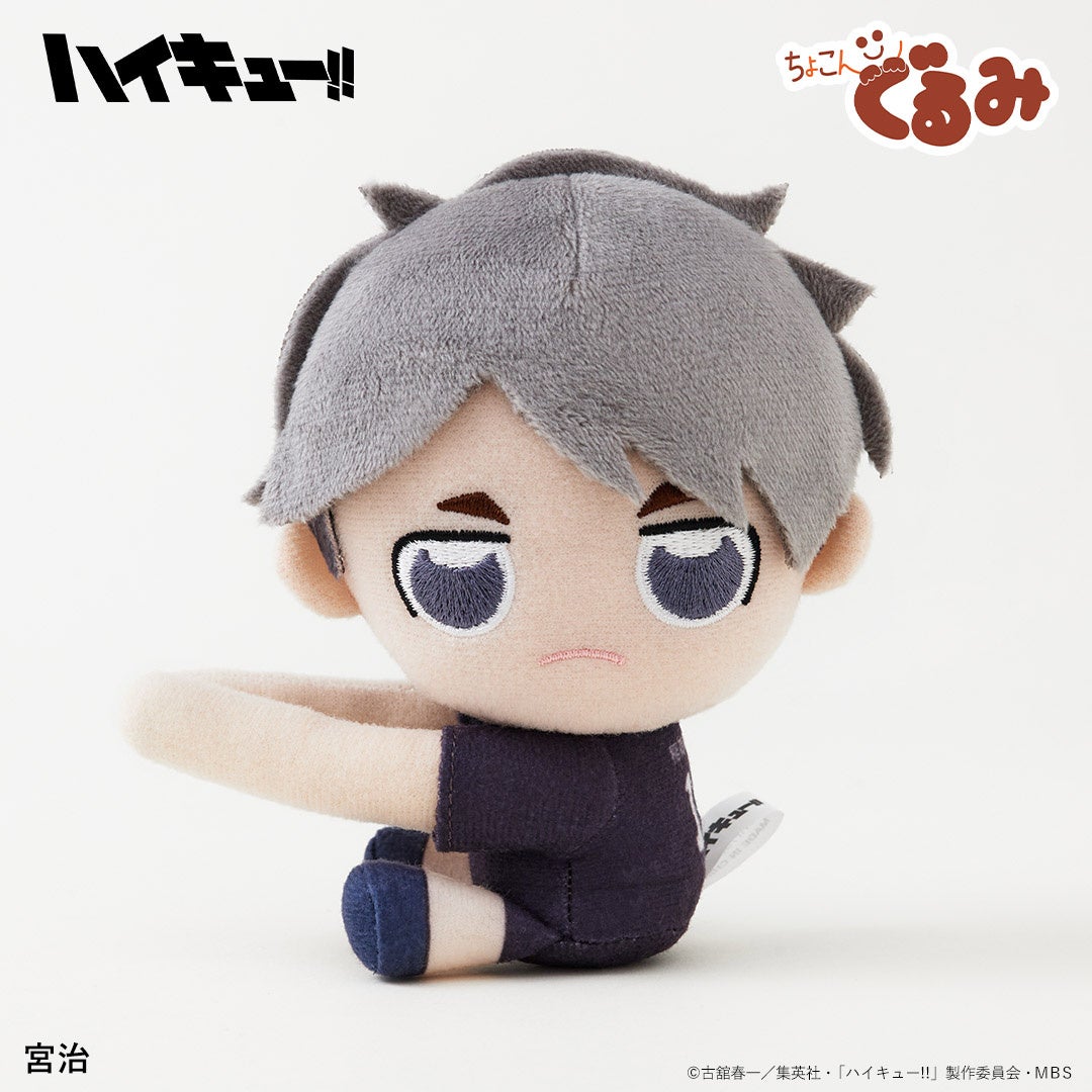 ハイキュー‼　マスコット　ぬいぐるみ　まとめ　9個セット　アニメ　キャラクター ハイキュー！！ぬいぐるみマスコット | 株式会社ケーツー