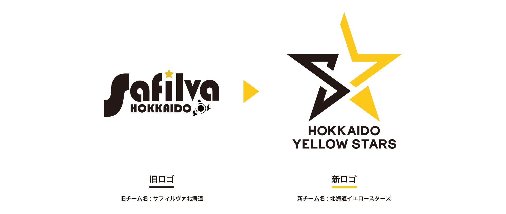 n*読様 safilva北海道 Tシャツ　バレーボール バレーボールTシャツ サフィルヴァ北海道 Lサイズ - メルカリ