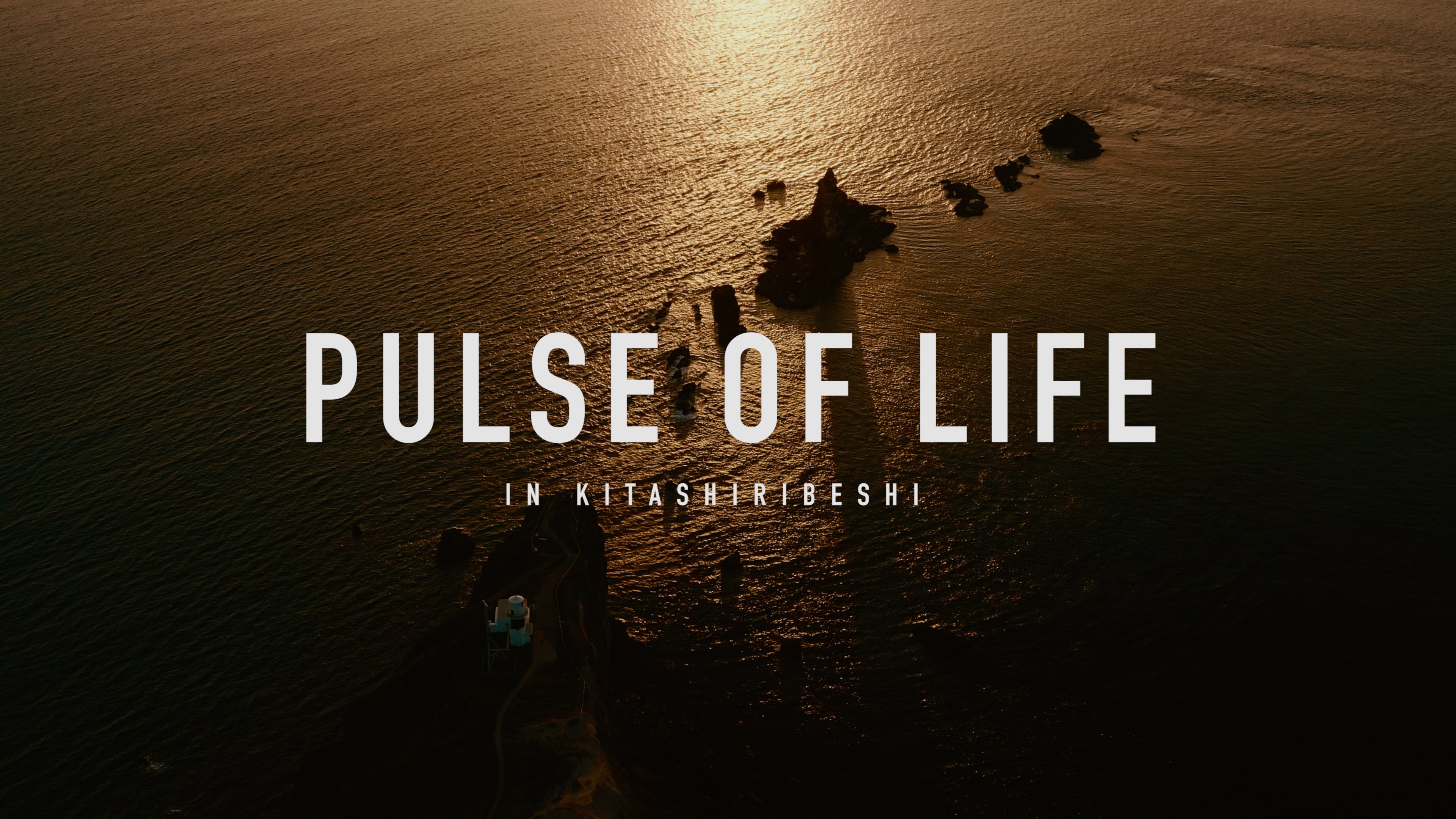 PULSE OF LIFE IN KITASHIRIBESHI