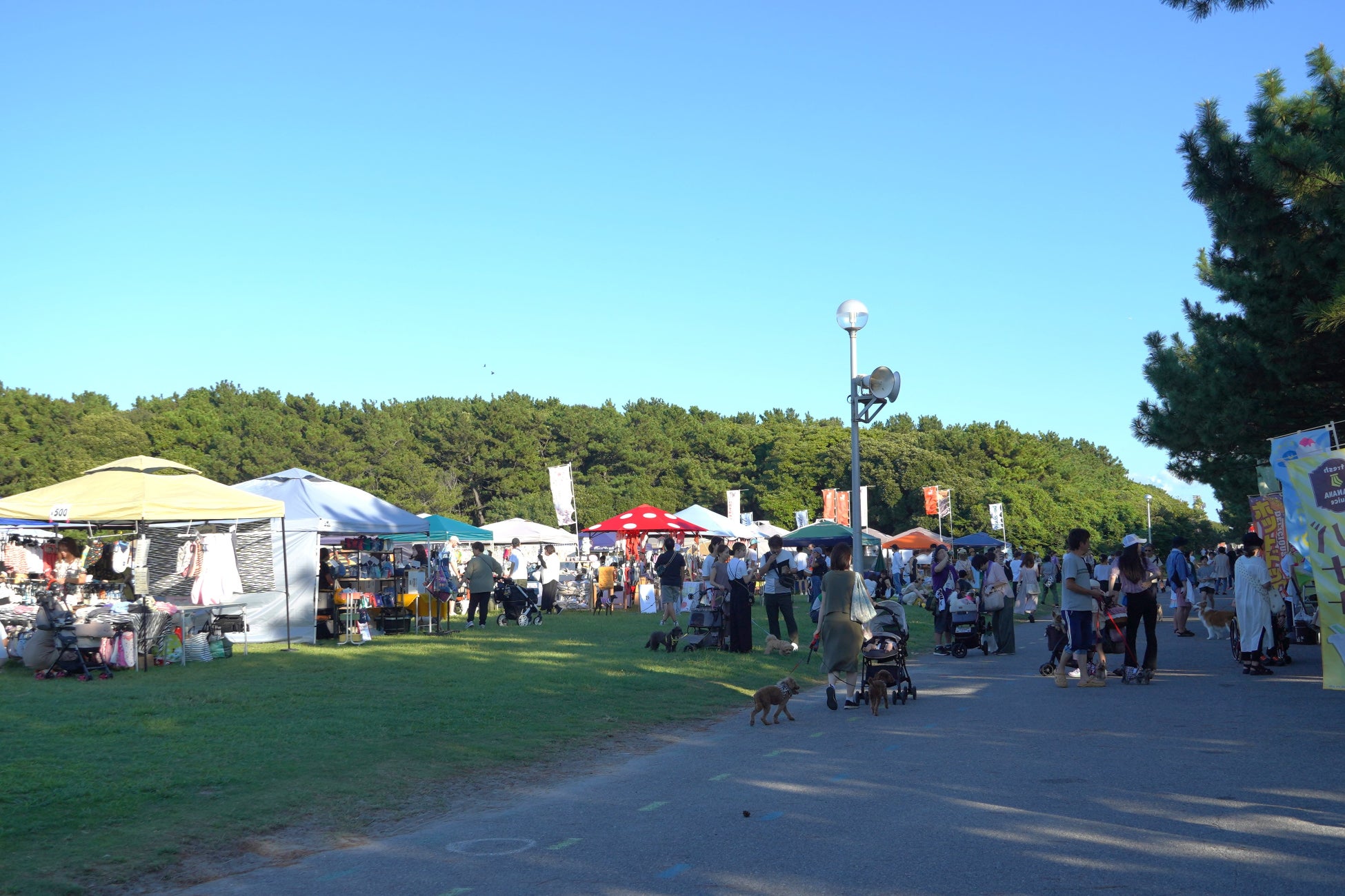 PET FESTA INAGE