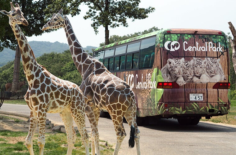 8月31日迄延長 兵庫県 滋賀県 京都府 和歌山県 奈良県 鳥取県 岡山県 徳島県 香川県民限定 5 000円で往復バスで行く姫路セントラルパーク 入場券とアトラクションフリーパスパック 株式会社フォーティーズのプレスリリース 8月31日迄延長 兵庫県 滋賀県 京都府 和歌山県 奈良県 鳥取県 岡山県 徳島県 香川県民限定 5 000円で往復バスで行く姫路セントラルパーク 入場券とアトラクションフリーパスパック 株式会社フォーティーズのプレスリリース