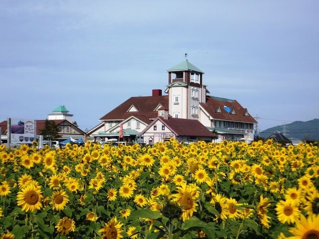 道の駅あいとうマーガレットステーション