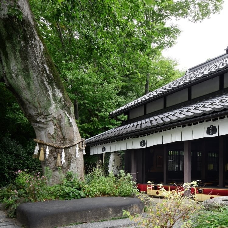 たねや 近江八幡日牟禮ヴィレッジ