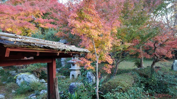 武家屋敷 へき亭　中庭