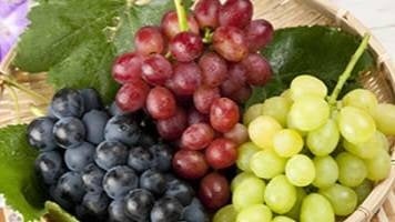 ぶどうのお土産 イメージ