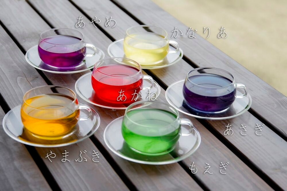 緑茶フレーバーティー「いろは」