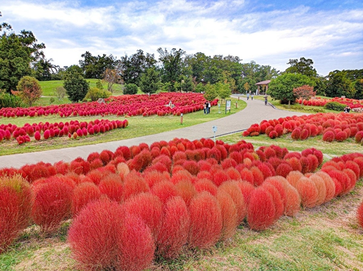 馬見丘陵公園 イメージ