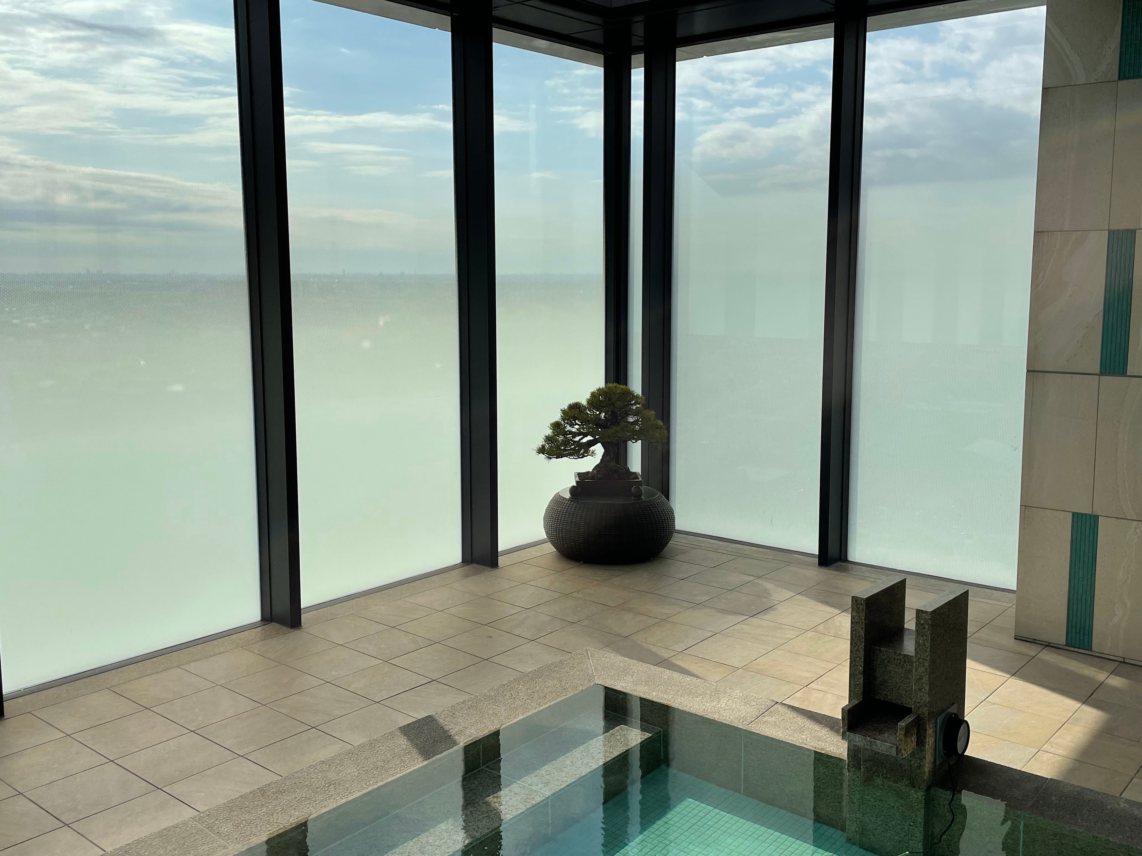 男性用スパに展示した黒松 （樹齢約80年、高さ約70cm・横幅約75㎝）