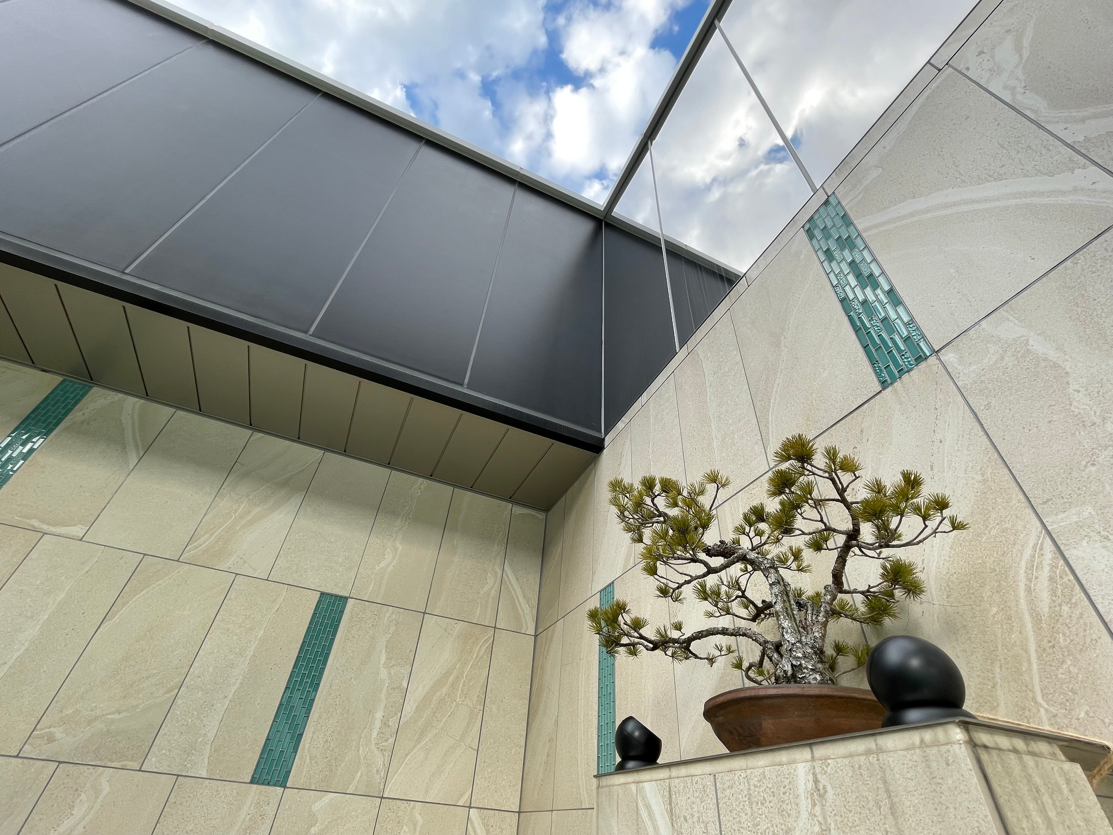 女性用スパに展示した五葉松 （樹齢約50年、高さ約50cm・横幅約60cm）