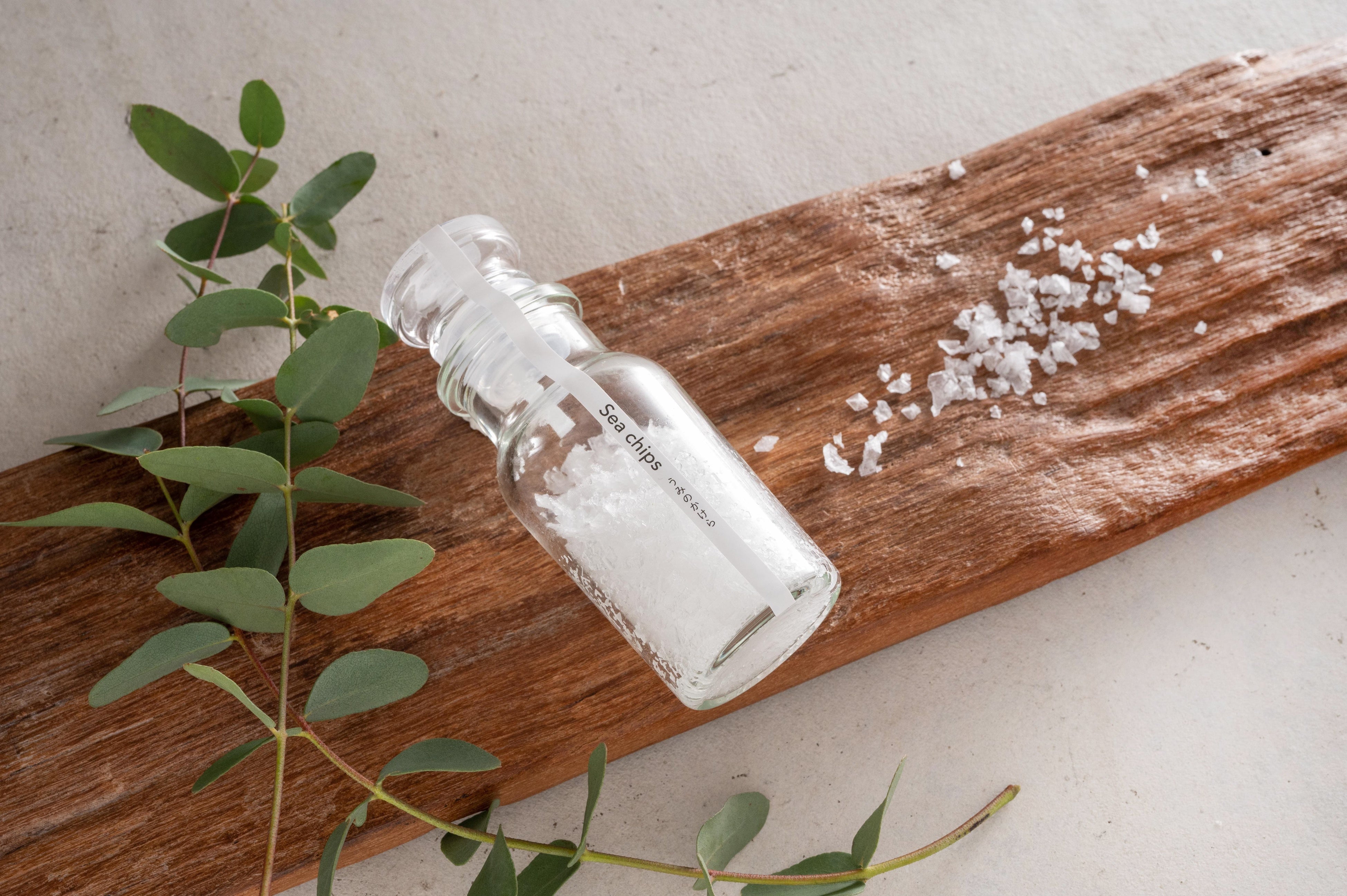 Sea chips うみのかけら