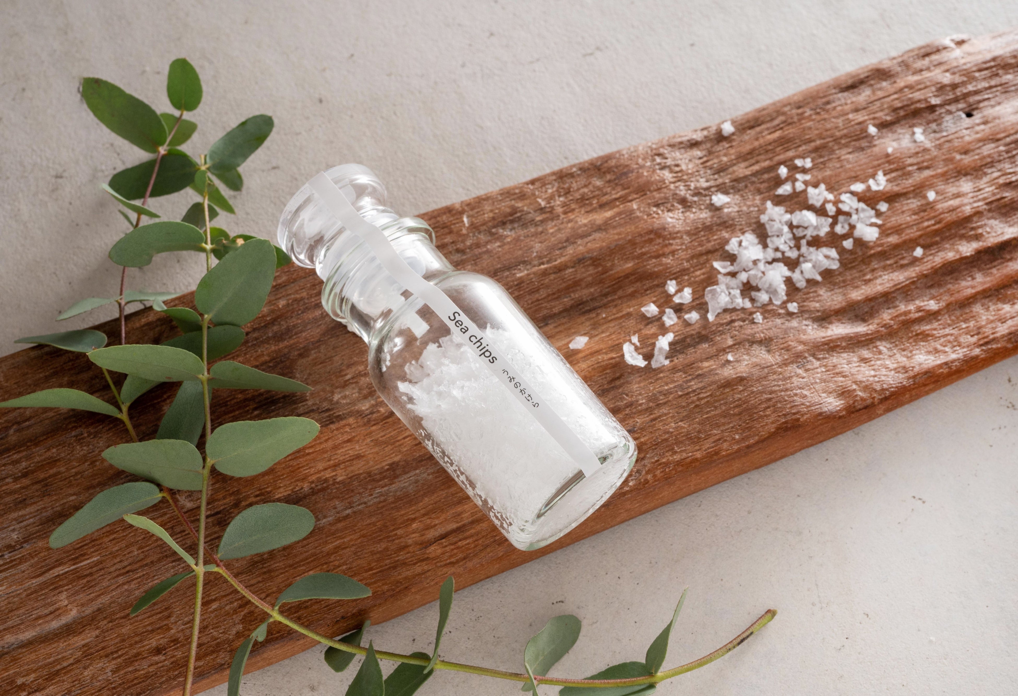 Sea chips うみのかけら