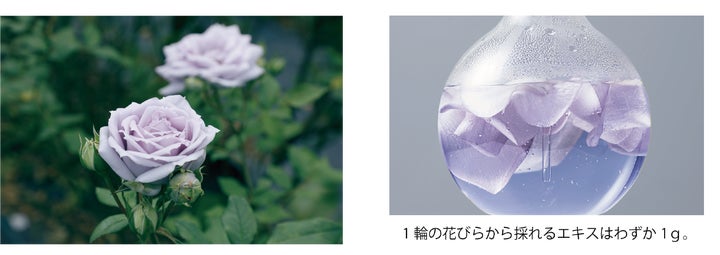 マキアレイベルから、美を追求したマキアレイベル最高峰クリーム マキアレイベルから、美を追求したマキアレイベル最高峰クリーム