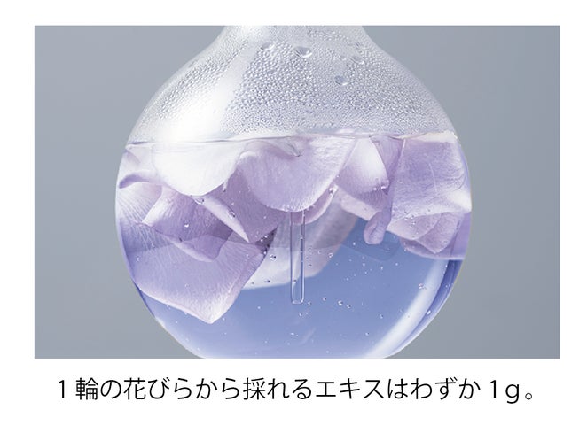 2個セット⭐︎マキアレイベル エクストラリセットクリーム22 2個セット⭐︎マキアレイベル エクストラリセットクリーム22