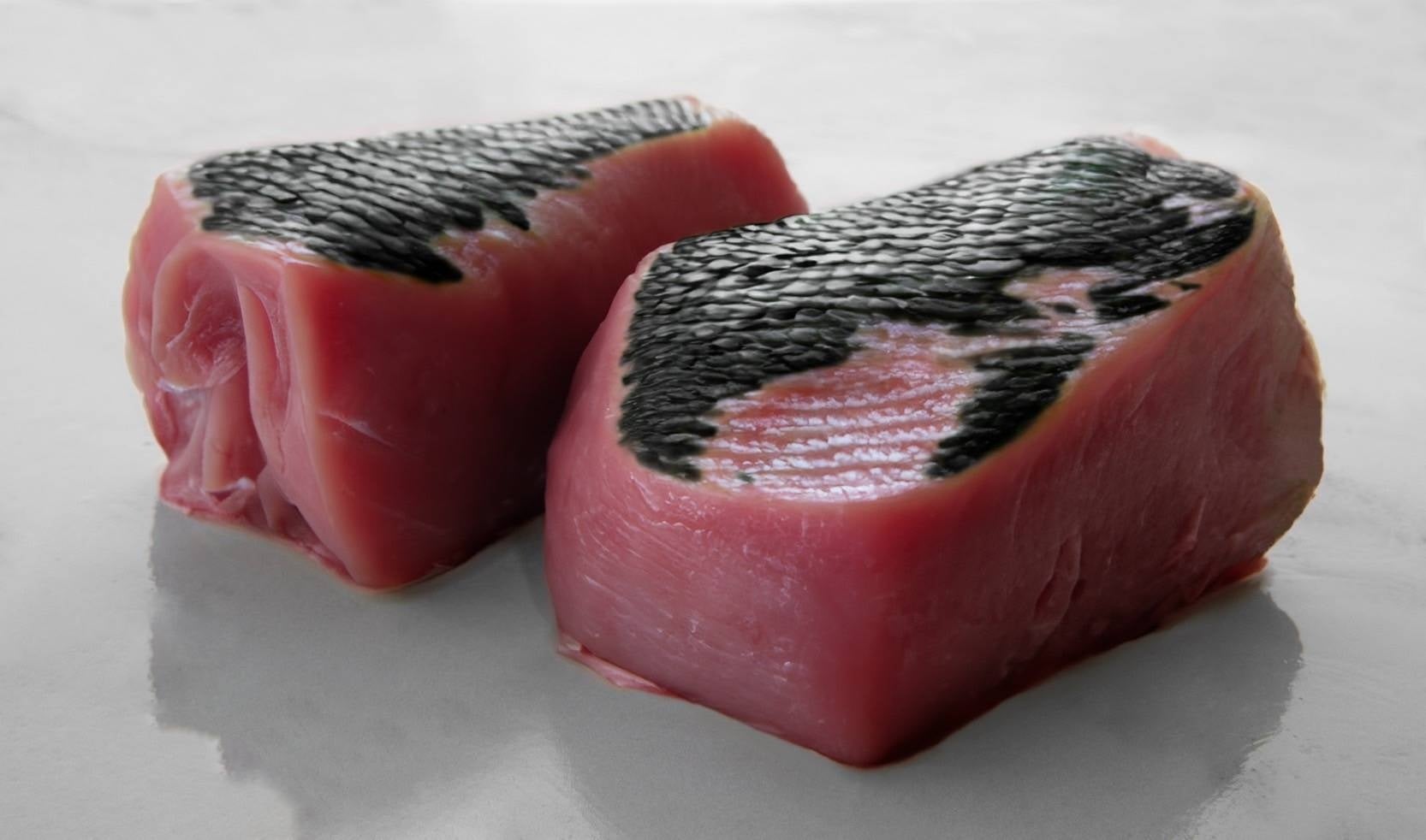 龍肉 (イメージ)