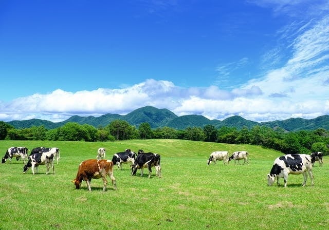 ※写真はイメージです