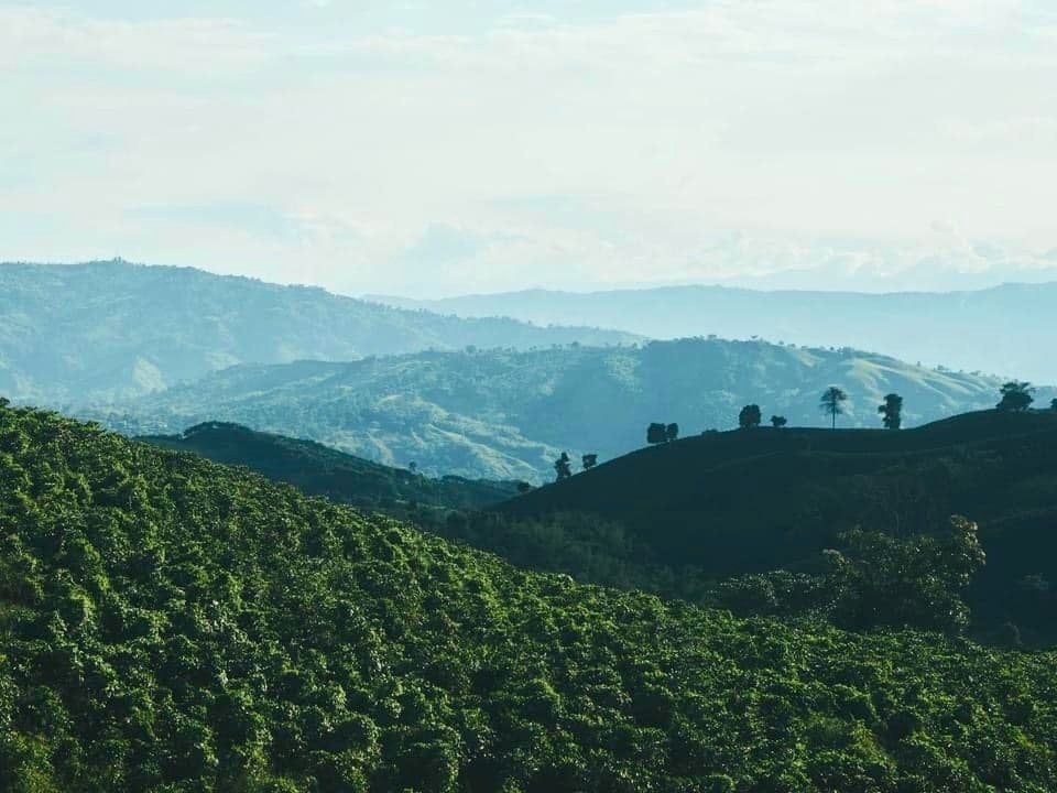 コロンビアの大自然