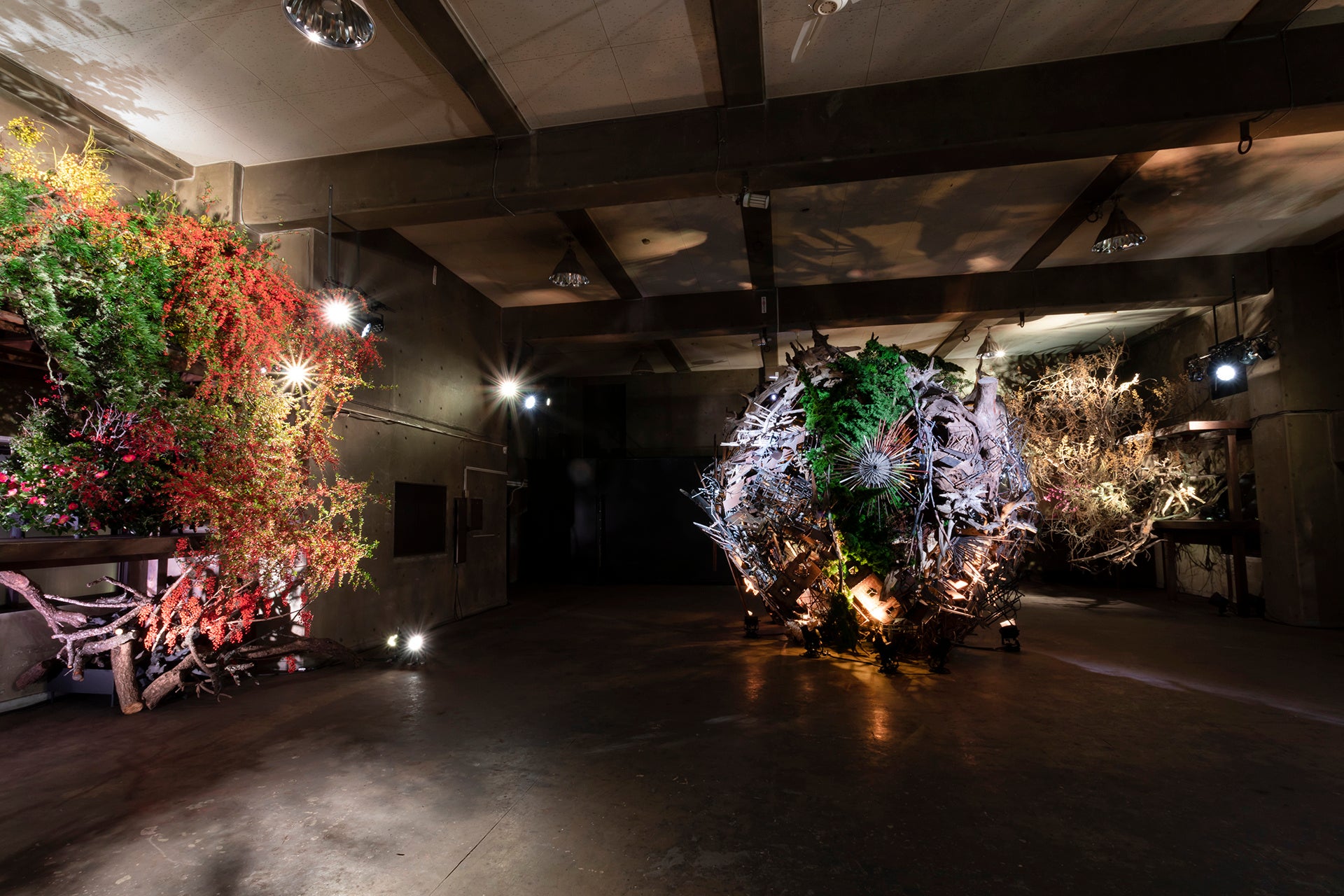 家元継承20周年記念 勅使河原茜展 ひらく（2021年／東京・草月会館別館アトリエ／Photo：Naoki Fujioka）