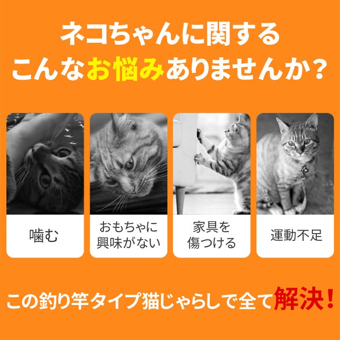 大満足の6点セット 猫 おもちゃ ねこじゃらし 釣り竿 が販売開始します イエロー株式会社のプレスリリース 大満足の6点セット 猫 おもちゃ ねこじゃらし 釣り竿 が販売開始します イエロー株式会社のプレスリリース