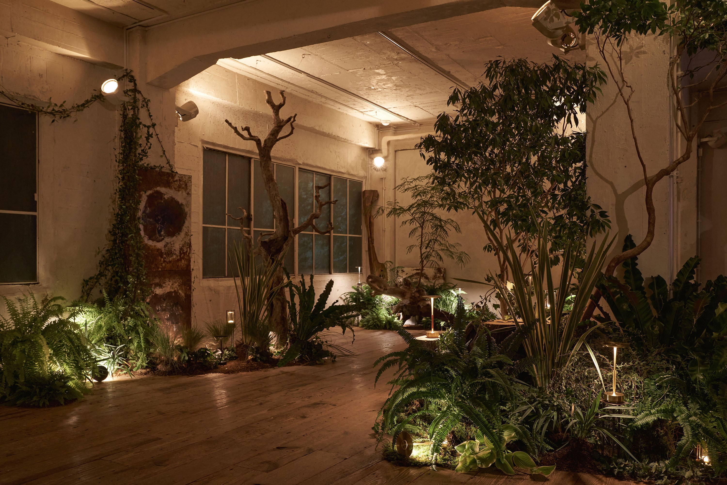 Ambientec_DISSECT ©Yume Takakura