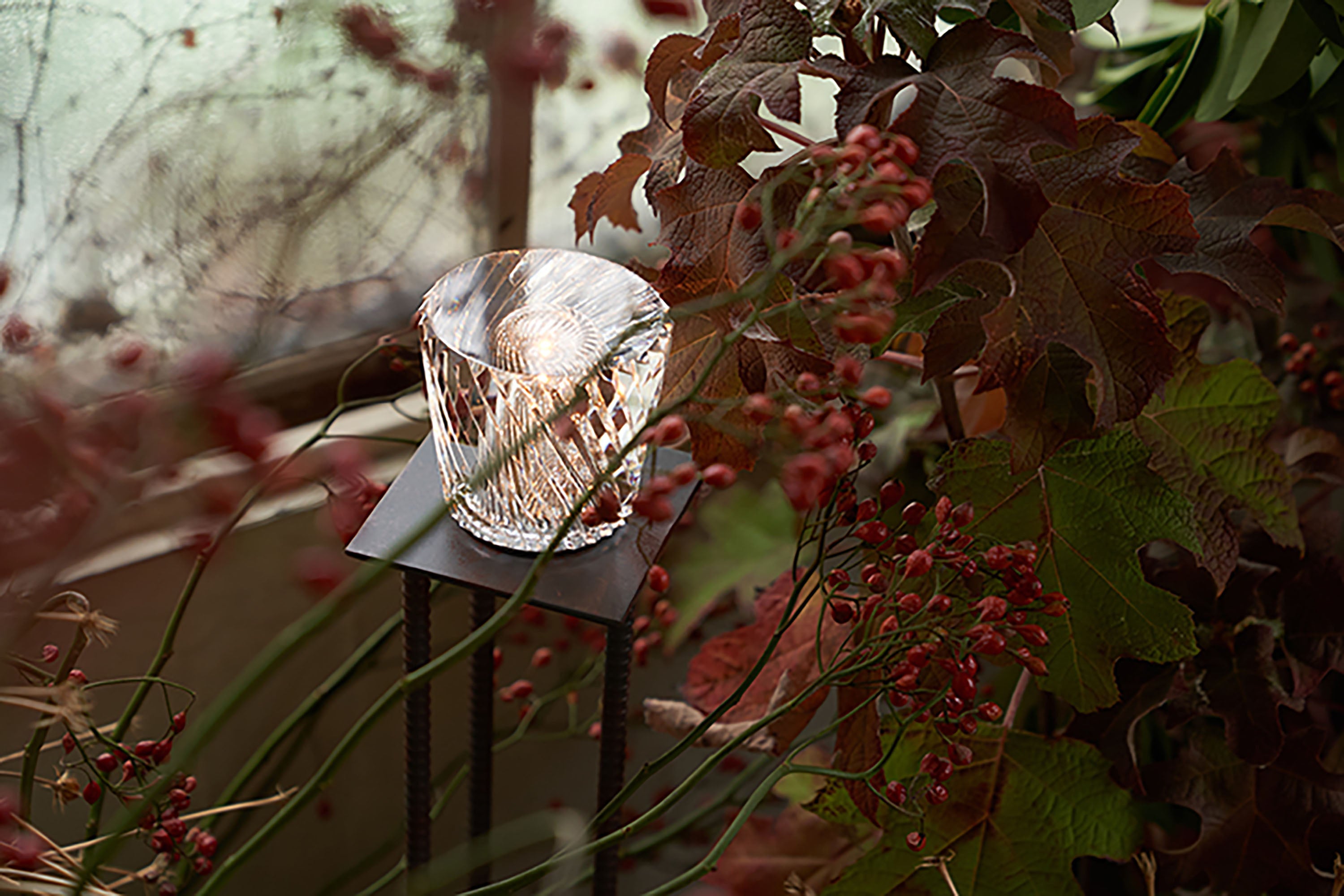 Ambientec_DISSECT_ ©Yume Takakura