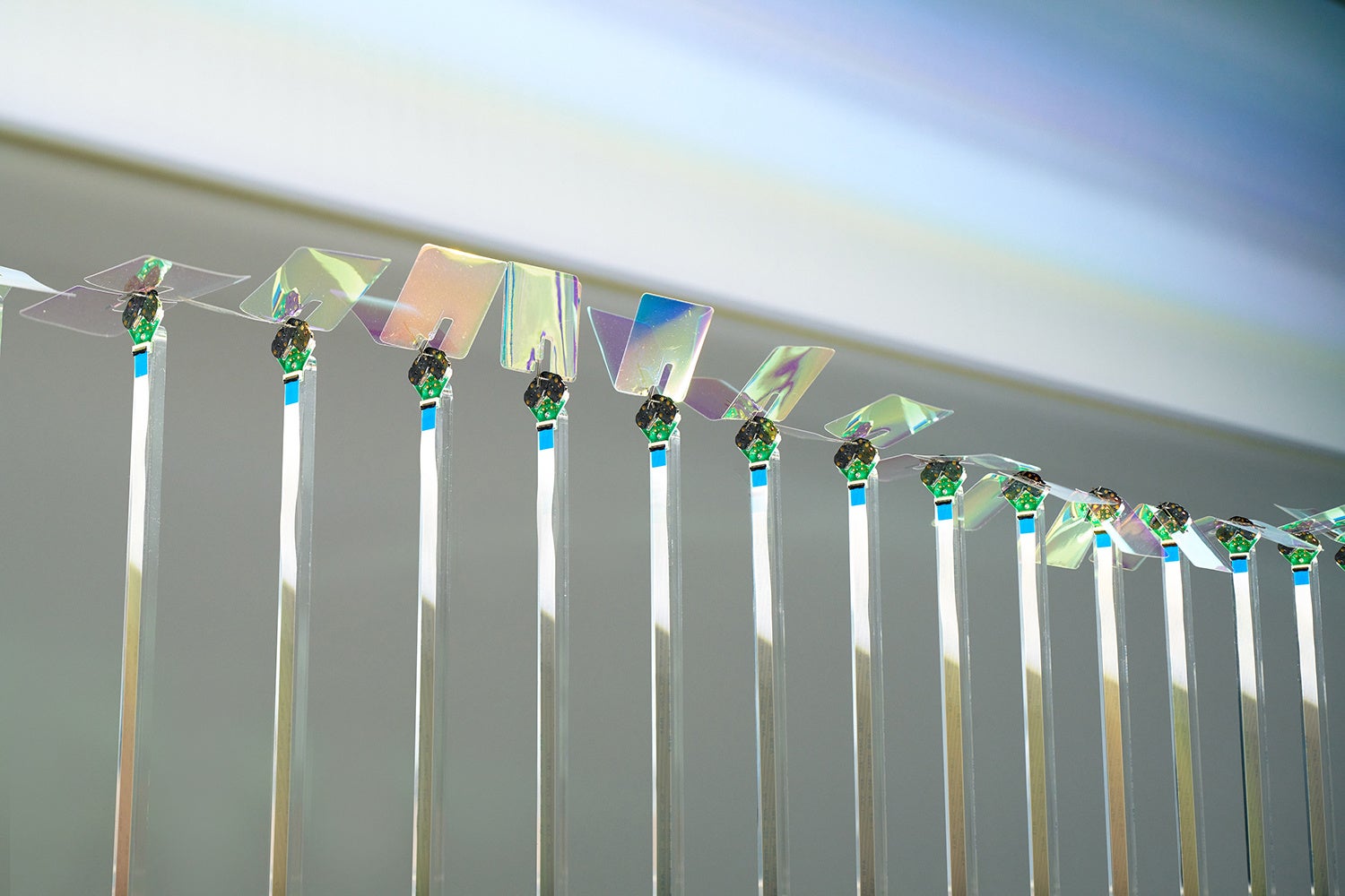 SEIKO からくりの森  ©Daisuke Ohki 