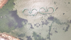 〈阪南市の海〉