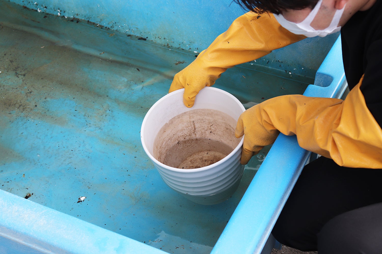 手洗いで丁寧に洗浄