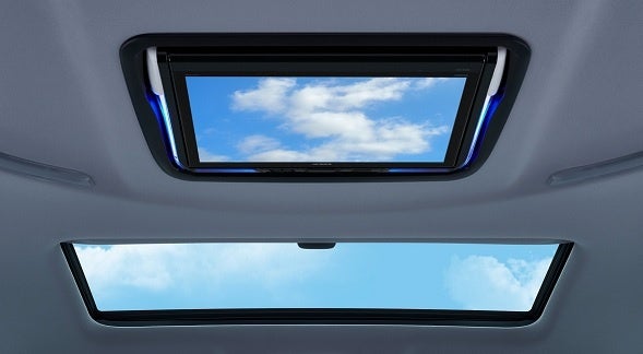 ムードピクチャー