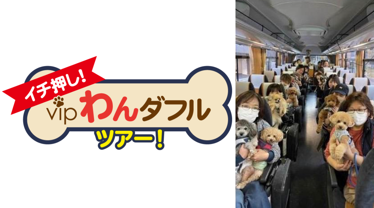 イチ押し！VIPわんダフルツアー