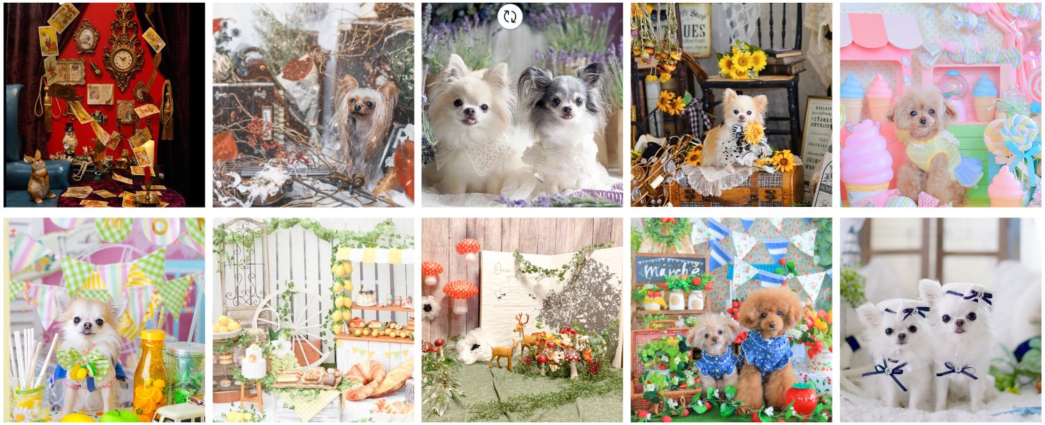 夢のドッグイベント 愛犬の可愛い写真が撮り放題 豪華 トップクリエイターたちが作り出す14のセルフ撮影フォトブースフェア22夏 22年8月1日よりイチホテル浅草橋にて開催 Hotel Monday Groupのプレスリリース 夢のドッグイベント 愛犬の可愛い写真が撮り放題 豪華 トップクリエイターたちが作り出す14のセルフ撮影フォトブースフェア22夏 22年8月1日よりイチホテル浅草橋にて開催 Hotel Monday Groupのプレスリリース