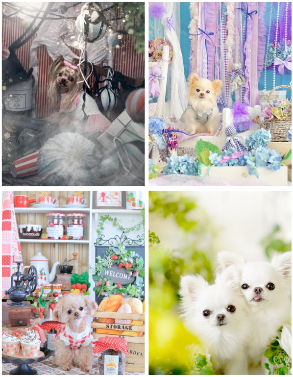 ※写真はアーティスト過去作品です。実際のブースではございません。