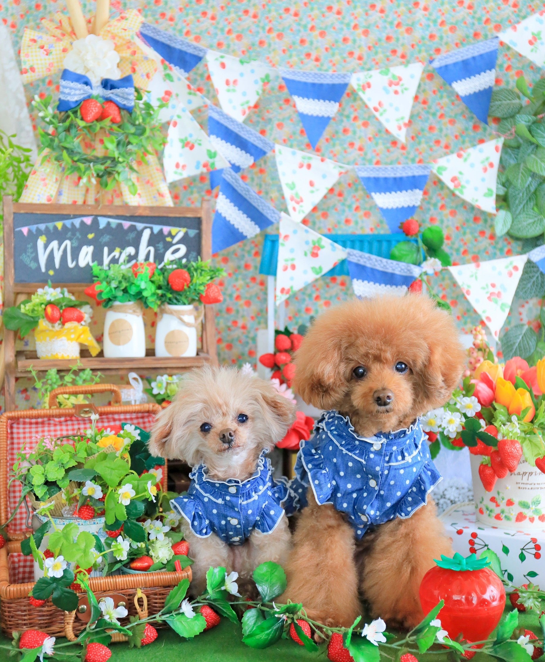  ※写真はアーティスト過去作品です。実際のブースではございません。