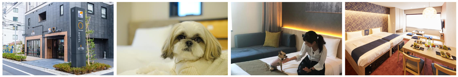 東京で最大級のドックフレンドリーホテルチェーン