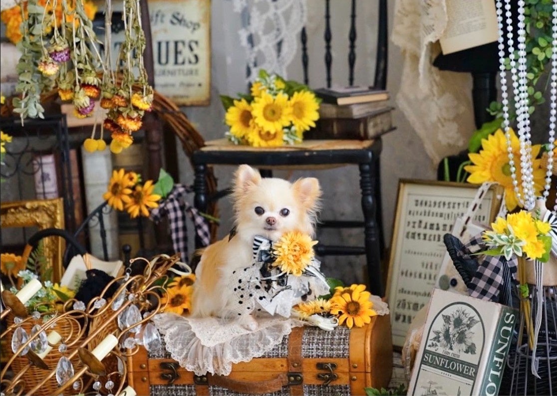 ※写真はアーティスト過去作品です。実際のブースではございません。