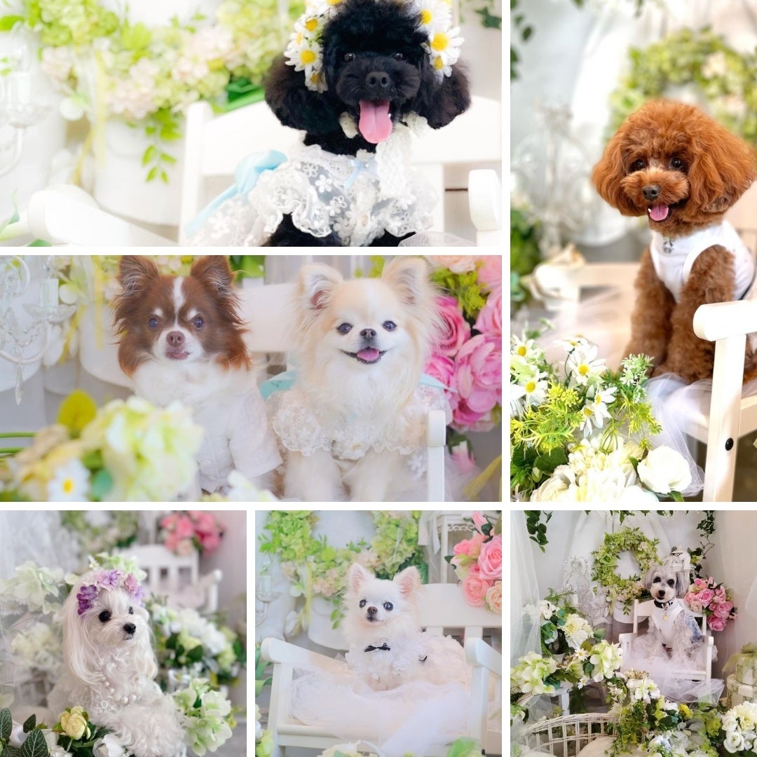 ※写真はアーティスト過去作品です。実際のブースではございません。