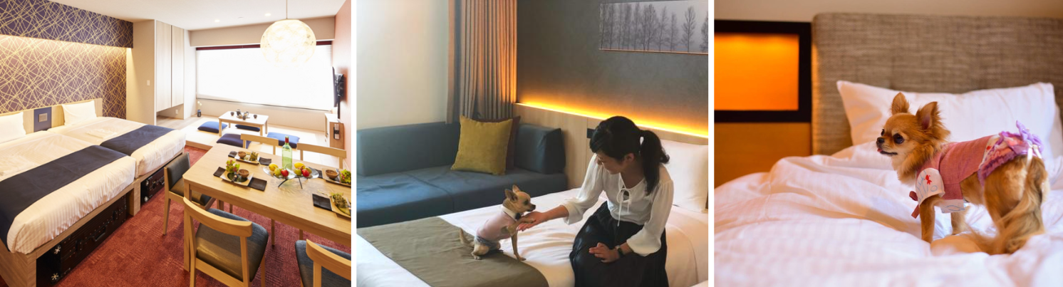 「当たり前に一緒に泊まれる」ホテルです。ベッドの上で一緒にお休み頂けます。家具家電付のアパートメントタイプも